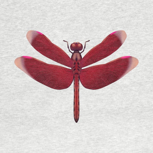 Red hand drawn dragonfly by Pacesyte